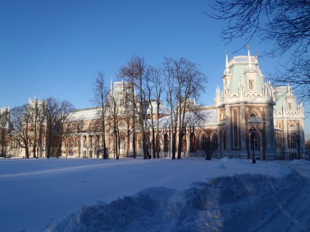 Historic palace covered in snow, surrounded by frosty landscape and bare trees under clear blue sky. Ideal for illustrating topics related to history, architecture, winter tourism, and heritage sites.