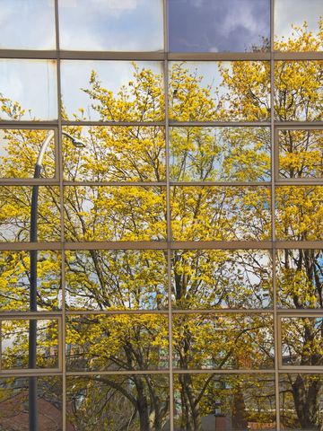 Spring Bloom Reflected in Modern Grid Window