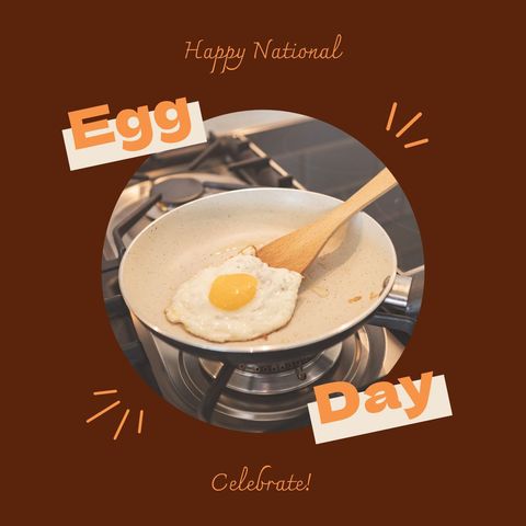 Celebration of national egg day with cooking egg in frying pan
