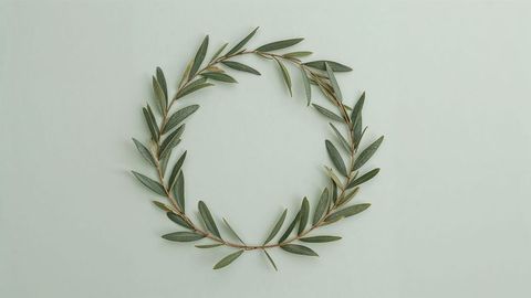 Minimalist Circular Olive Branch Wreath on Pale Green Background