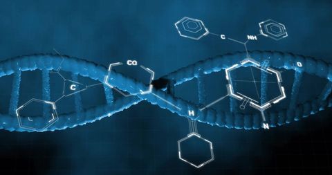 Digital Representation of DNA Strand with Molecular Structures - Download Free Stock Images Pikwizard.com