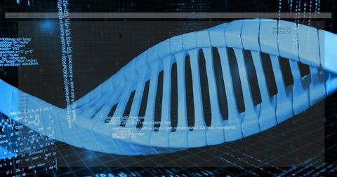 Glowing blue DNA helix with code overlay rotating on data grid for genomics visualization