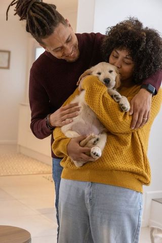 African american couple holding golden retriever puppy, sharing cozy loving moment indoors