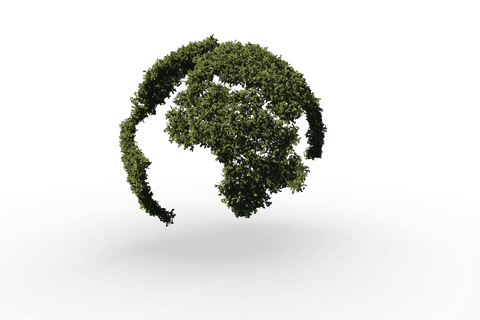 Transparent Globe Tree Concept for Environmental Solutions