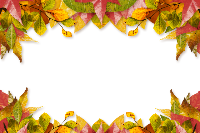 Transparent Frame of Autumn Leaves Illustration Isolated on Blank Background - Download Free Stock Videos Pikwizard.com