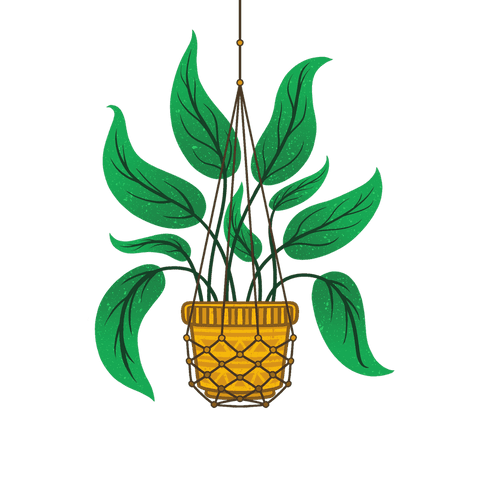 Floating mustard macrame planter with green leaves on transparent background