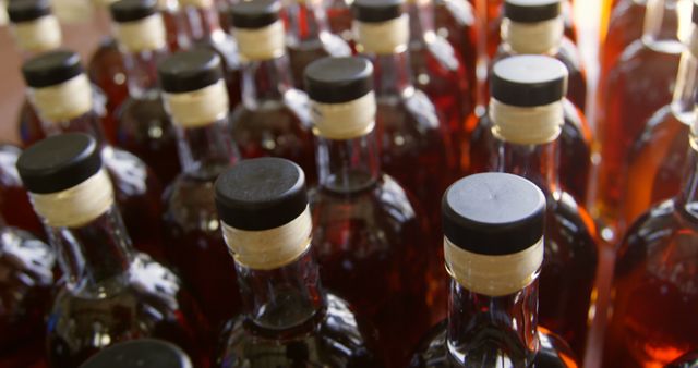 Image showing rows of sealed glass bottles filled with an amber liquid, likely an alcoholic beverage. Ideal for use in articles about beverage packaging, distillery processes, alcohol production, and related industries. Fits well within themes of manufacturing, product packaging, and beverage industry.