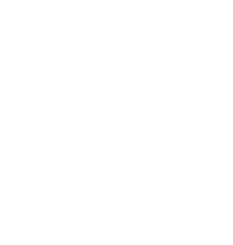 Minimalist white botanical line art on transparent background