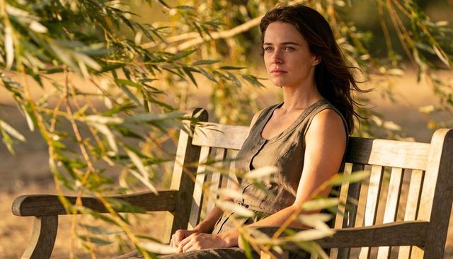 Woman sitting on wooden bench gazing across sunlit field at golden hour, serene reflection