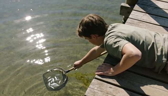 Boy netting small fish from lakeside dock on sunny summer afternoon with sunlit ripples