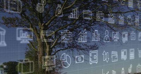 Deciduous tree with spreading canopy and translucent technology icons overlay, eco tech concept