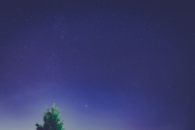 This image showcases a serene night sky filled with shimmering stars and recognizable constellations, with a lone tree at the bottom. Perfect for use in wallpapers, backgrounds for apps, astronomy blogs, and educational materials about the cosmos.