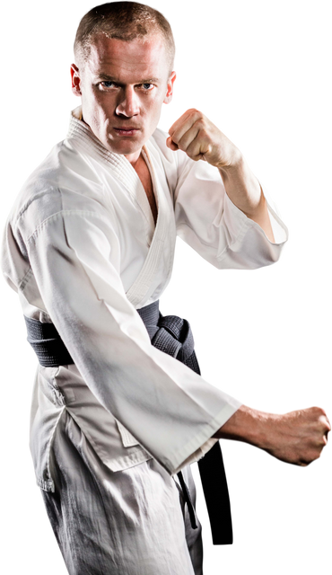 Transparent Image of Karate Fighter in Striking Pose - Download Free Stock Videos Pikwizard.com