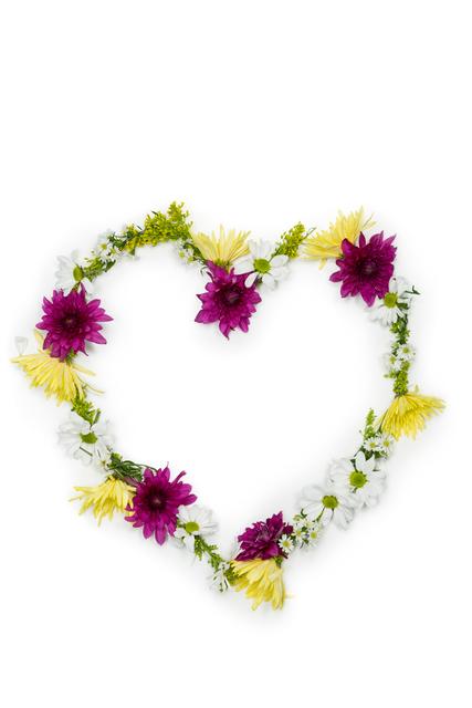 Tropical flower garland arranged in heart shape on white background