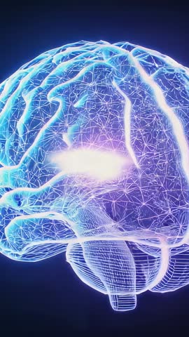 Vertical 3D Loop Pulsing Wireframe Brain with Neon Neural Filaments Spinning in Void