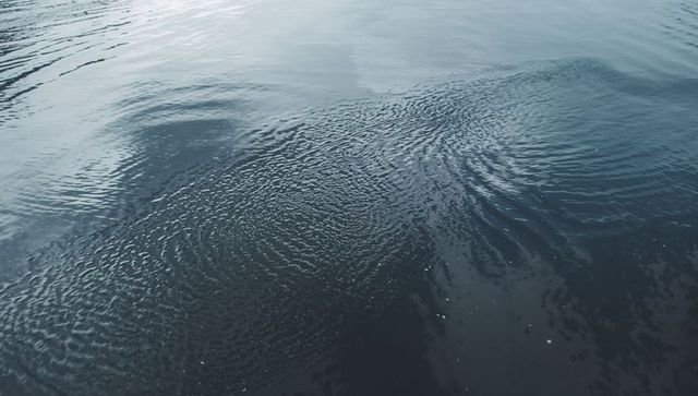 Rippling navy water showing circular surface ripples, pale sky reflections, foam