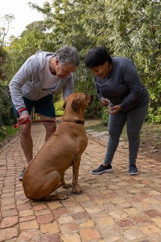 Diverse couple playing with large dog outdoors on brick pathway