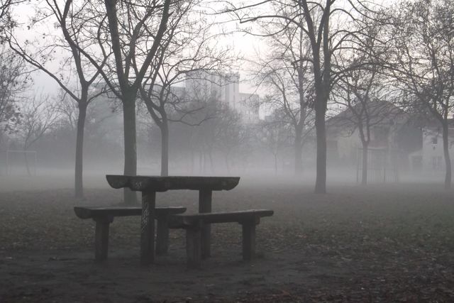 Empty picnic table in misty park creates tranquil, serene atmosphere perfect for themes of solitude, calm, and nature. Fog enhances ethereal mood, making scene suitable for backgrounds, inspirational quotes, meditation content, or seasonal promotions.