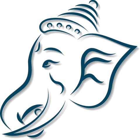 Elegant minimalist line art elephant illustrations on transparent background