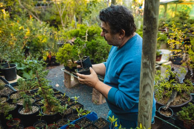 Caucasian male gardener holding seedlings at garden centre. specialist working at bonsai plant nursery, independent horticulture business.