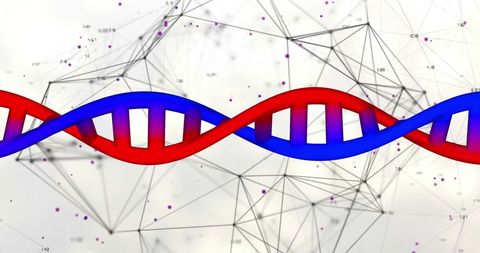 Digital DNA Strand with Network Connections and Data Visualization - Download Free Stock Images Pikwizard.com