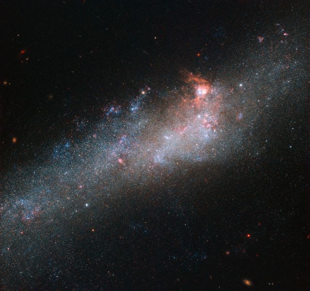 This beautiful image captures the bright central region of NGC 4656, known as the Hockey Stick Galaxy, located in the constellation of Canes Venatici. The striking shape of this galaxy results from interactions with its neighboring galaxies, NGC 4631 and NGC 4627. Images like this are useful for educational materials, space exploration articles, and for inspiring interest in astronomy through visual appeal.