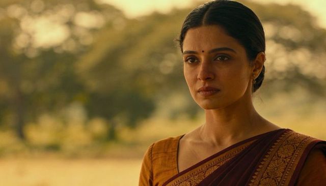 Woman gazing across golden field at sunset wearing patterned sari and bindi