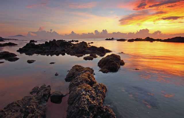 Scenic Tropical Beach Sunset with Rocky Shoreline and Golden Skies - Download Free Stock Photos Pikwizard.com