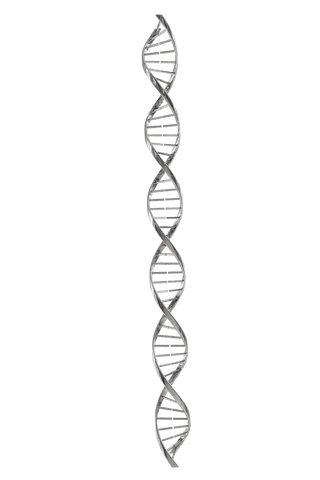 metallic dna helix on transparent background for science concepts - Download Free Stock Videos Pikwizard.com