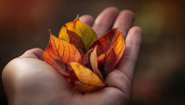 Hand holding translucent autumn leaves backlit by warm golden hour light