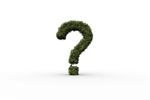 transparent 3d leafy question mark on clear background - Download Free Stock Videos Pikwizard.com