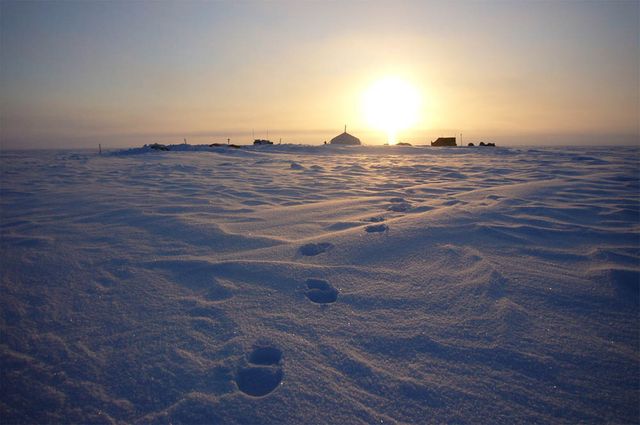 Capture showcases serene sunset over a snow-covered summit camp on Austfonna Ice Cap, Svalbard. Footprints lead into the horizon with the sun setting, producing a tranquil and cold atmosphere. Suitable for use in environmental articles, travel blogs focusing on polar regions, climate change awareness content, and nature documentaries.