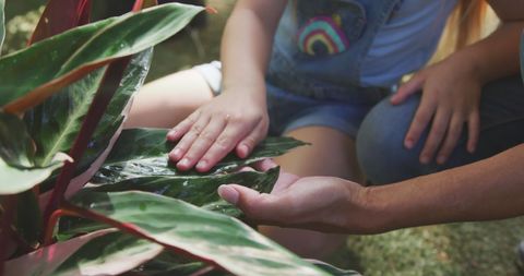Hands Connecting with Nature: Mother and Daughter Gardening