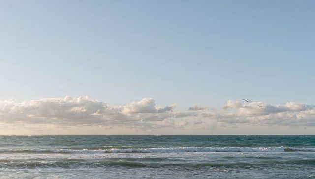 Calm ocean horizon at golden hour with gentle waves and soaring seabirds