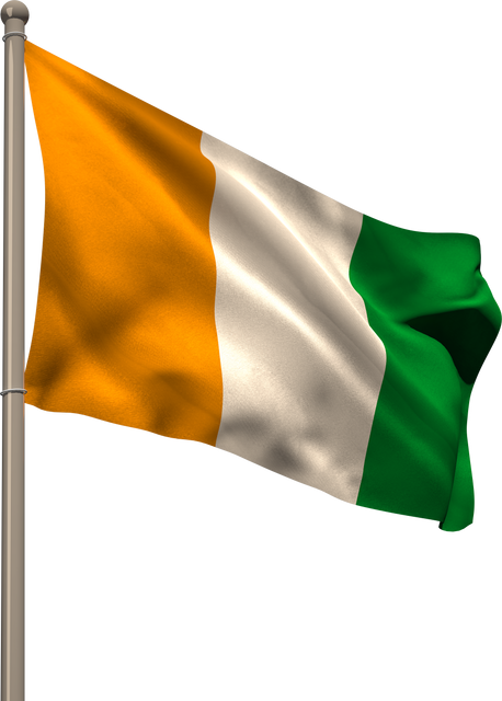 Transparent Ivorian National Flag on Flagpole against White Background - Download Free Stock Videos Pikwizard.com