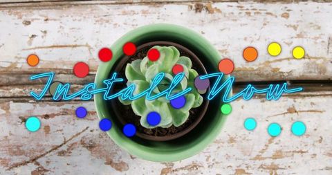 Colorful graphic with succulent and vibrant neon overlay