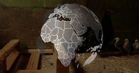 Transparent globe overlay on rustic chicken coop scene
