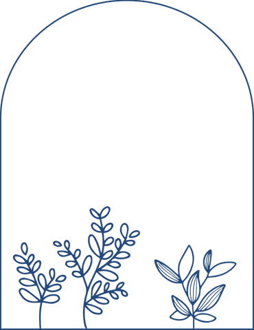 Botanical Line Art of Stylized Plants with Arch Frame on Transparent Backdrop
