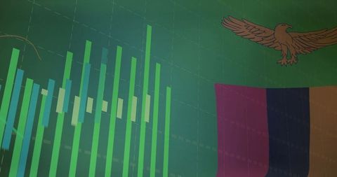 Modern Data Visualization with Vertical Bar Chart and Flag Design