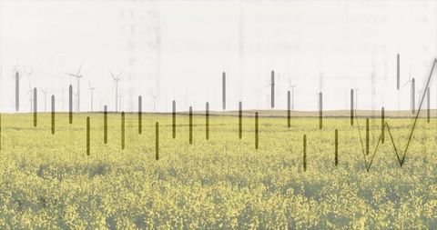 Digital data overlay on wind farm landscape with yellow field