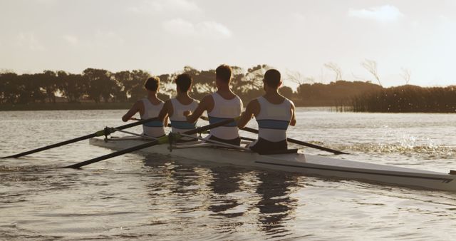 Team of Rowers Practicing on Calm Lake at Sunset - Download Free Stock Images Pikwizard.com