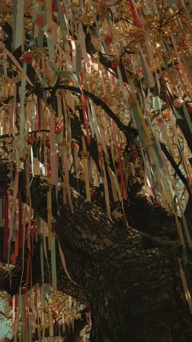 Vertical Close-Up Panning Up Tree Trunk Revealing Pastel Ribbons in Whimsical Park