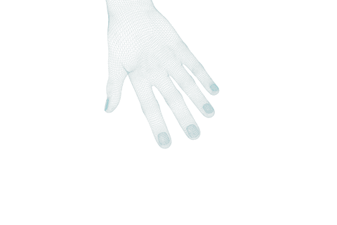 transparent 3d human hand model with texture details - Download Free Stock Videos Pikwizard.com