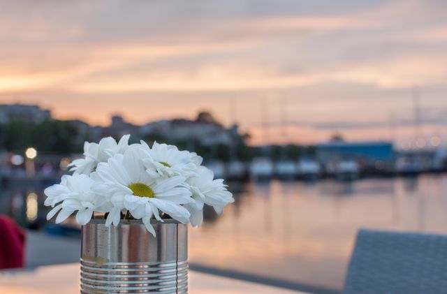 Serene outdoor setting with white daisies in a tin can on a table, overlooking a blurred waterfront at sunset. Suitable for promoting events, advertisements for outdoor dining venues, home and garden decor inspiration, or spring and summer promotional materials.