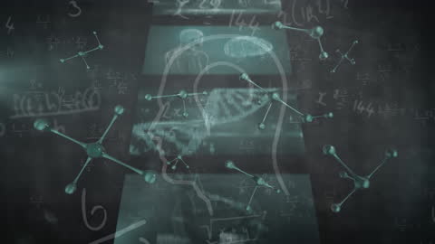 Scientific Data Overlay with Molecules and Human Profile