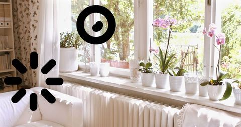 Bright spring interior with houseplants and garden view