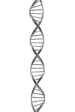 transparent steel dna double helix structure on white background - Download Free Stock Videos Pikwizard.com