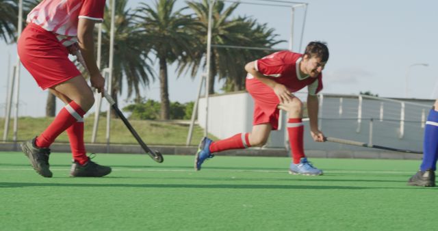 This stock photo features male field hockey players actively competing in a match, dressed in red uniforms on a lush green field. The photo captures the intensity and coordination required in team sports. This image is ideal for use in articles, blogs, and promotional materials related to sportsmanship, team sports, field hockey, athletic events, and physical fitness.
