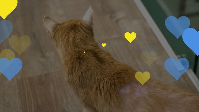 Adorable ginger cat sitting on wooden floor with blue and yellow heart graphics surrounding it. Ideal for promoting pet products, animal shelters, or creating heartwarming social media content celebrating pet ownership.