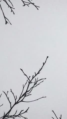 Vertical video recording black branch decal silhouette on textured wall with gentle shake